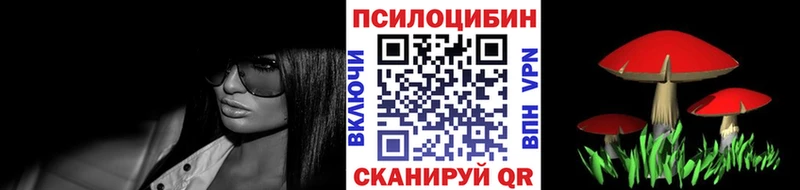купить закладку  mega сайт  Галлюциногенные грибы Cubensis  Шарья 